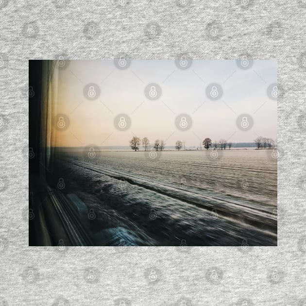 Frosted Moody Winter Landscape Shot Through Train Window by visualspectrum